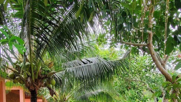 Ảnh chưa phân loại, 1 trong số 57 ảnh, nút