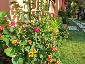 Property entrance - An An Boutique Homestay (Phu Quoc)