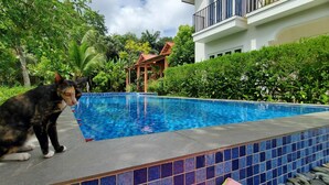 Ảnh chưa phân loại, 2 trong số 57 ảnh, nút