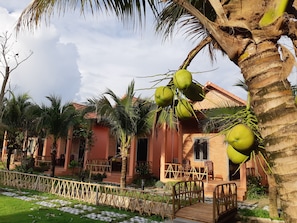 Ngoại thất