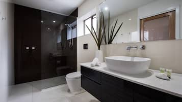 Executive-Zimmer | Badezimmer | Badewanne und Dusche (separat), Handtücher