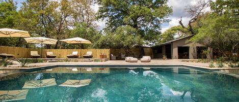 Outdoor pool, pool umbrellas, pool loungers