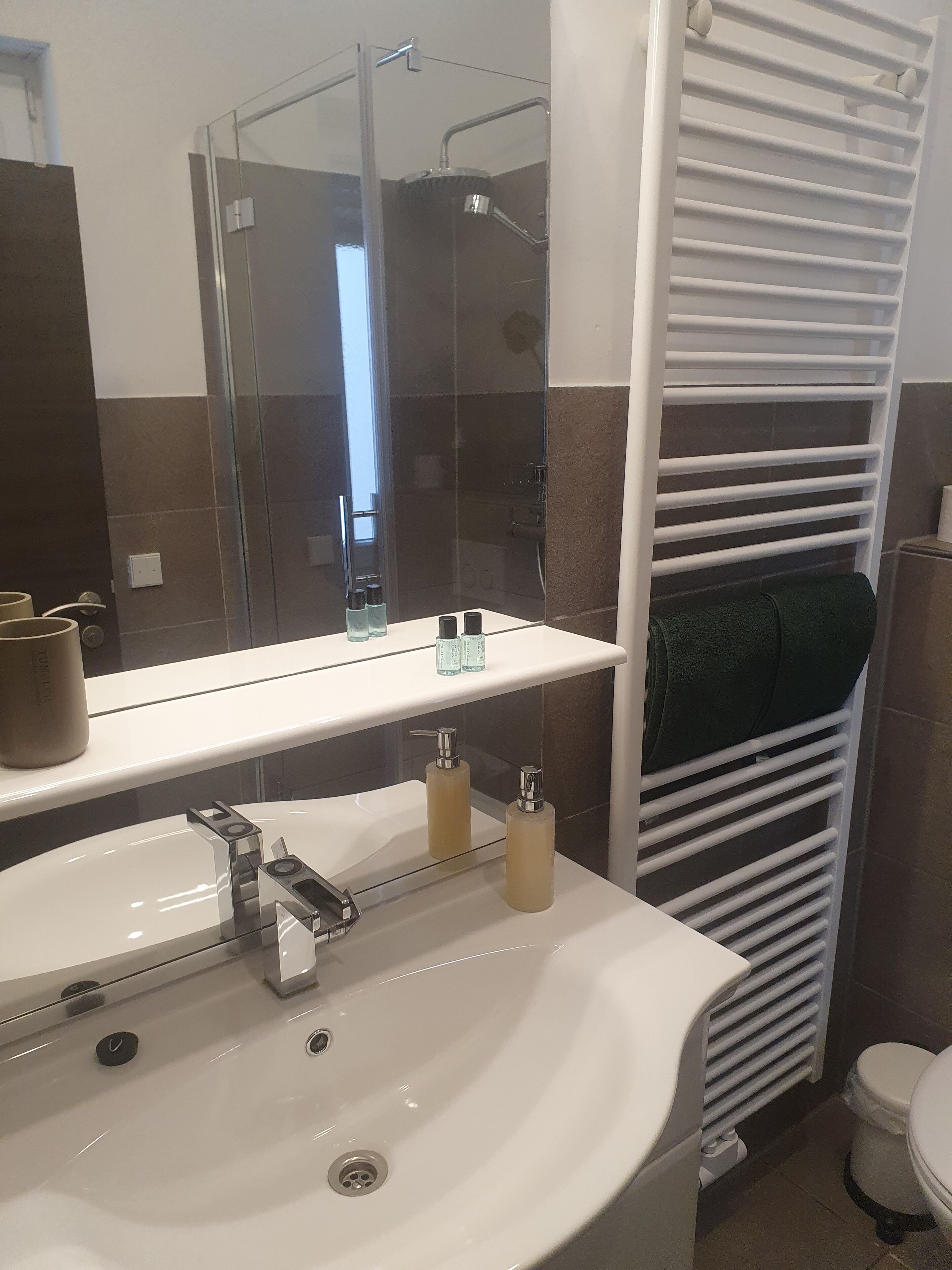 Dusche, Haartrockner, Handtücher, Seife