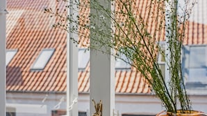 Uklassifisert bilde, 4 av 104, knapp