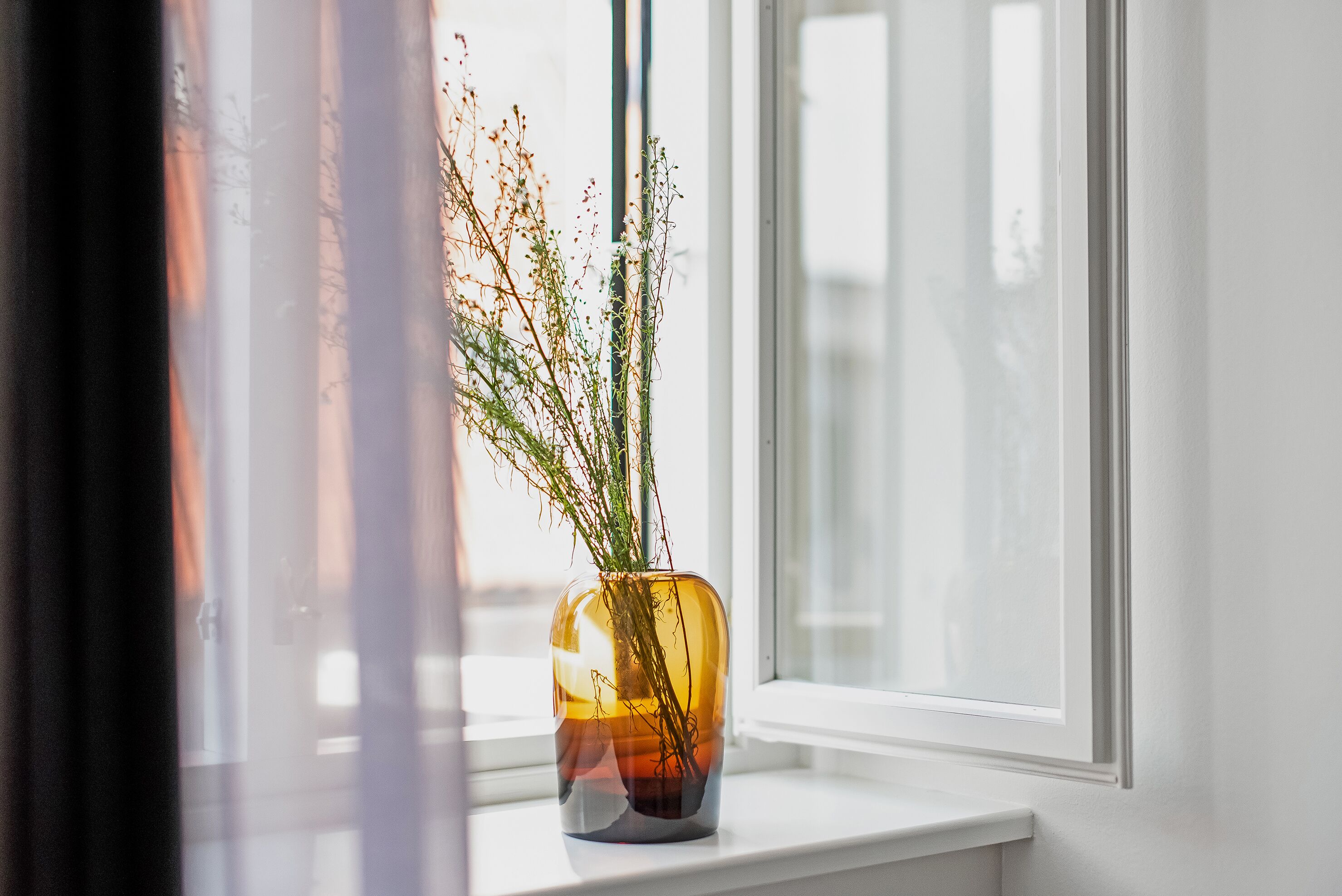 A clear view of a window with a vase containing plants on a windowsill.
