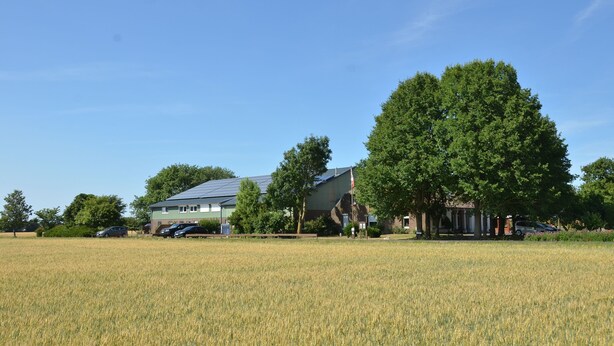 A building with a green roof and a large tree in front. - Double room no. 3 - Ferienhof Feil (Friedrichskoog)
