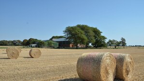 Hay bales in a field with a building and trees in the background. - Double room no. 3 - Ferienhof Feil (Friedrichskoog)