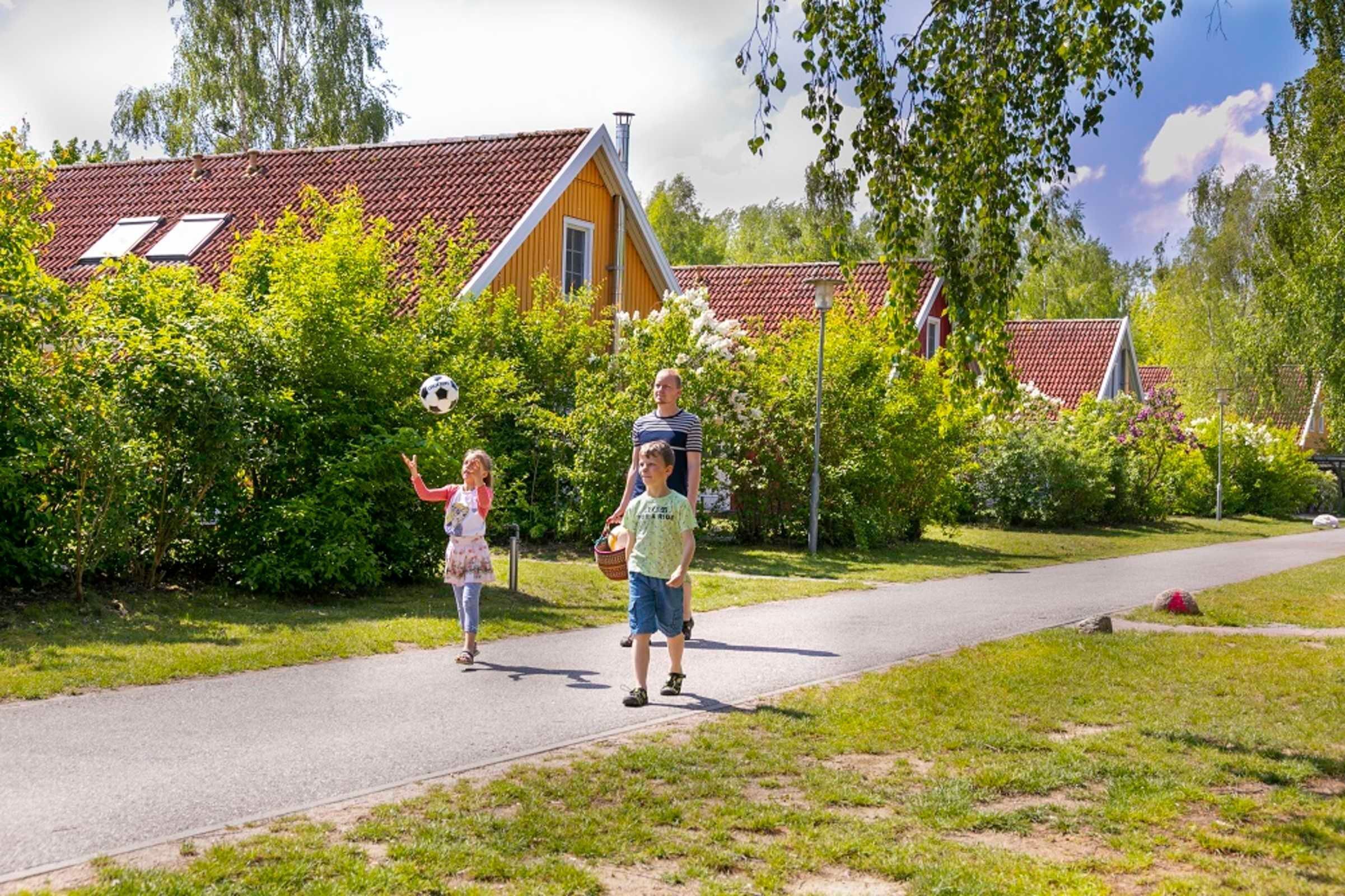 Un sentiero in una zona residenziale, con case e vegetazione.
