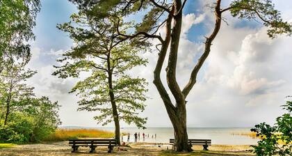 Apartment Lerche, for 4 people, GS, balcony (6) - Feriendorf Müritzufer