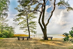 Ein Sandstrand mit zwei Bänken und einem Baum im Vordergrund.