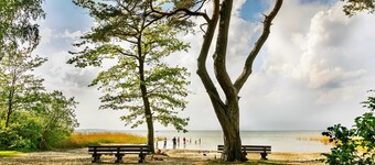 Barrierefri lejlighed Schwalbe, 4 pers., Pejs (6) - Feriendorf Müritzufer