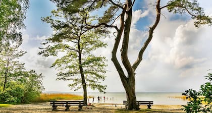 Barrierefreie Ferienwohnung Schwalbe, 4 Pers., Kamin (6) - Feriendorf Müritzufer