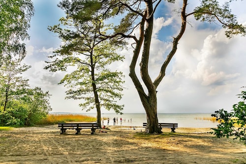 Semi-detached house Storch, 6 persons, 80 sqm, GS, fireplace (6) - Holiday village