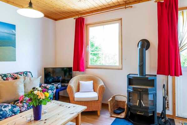 Televisión y chimenea 