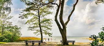 Paritalohaikara, 6 henkilöä, 80 neliömetriä, GS, takka (13) - Feriendorf Müritzufer