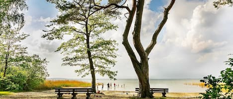 In StrandnÀhe