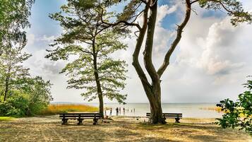 Nær stranden