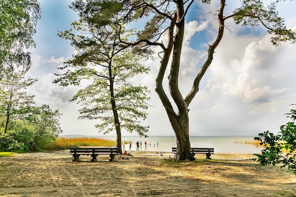 A beach with trees, a bench, and people in the distance.