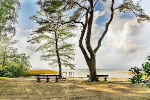 Een strand met bomen, een bankje en mensen in de verte.