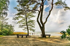 A beach with trees, a bench, and people in the distance.