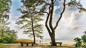 Une plage bordée d’arbres, un banc et des personnes au loin.