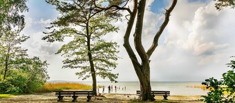 Lägenhetstyp kanin, 6 personer, balkong, övre våning (11) - Friendorf Alte Fahrt