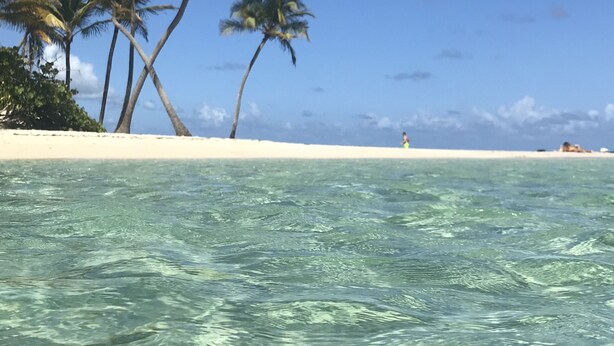 A beach with clear turquoise water, palm trees, and a sandy shore. - Charming apartment with swimming pool in secure residence and water tank (Sainte-Anne)