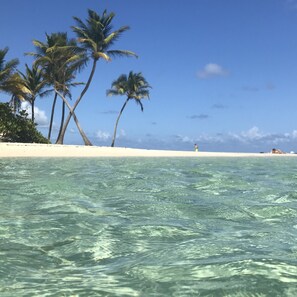 A beach with clear turquoise water, palm trees, and a sandy shore. - Charming apartment with swimming pool in secure residence and water tank (Sainte-Anne)