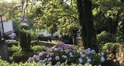 Villa Serena of Lapigio