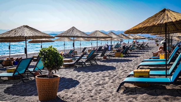 A beach with rows of sun loungers and thatched umbrellas, a wooden deck, and a potted plant.