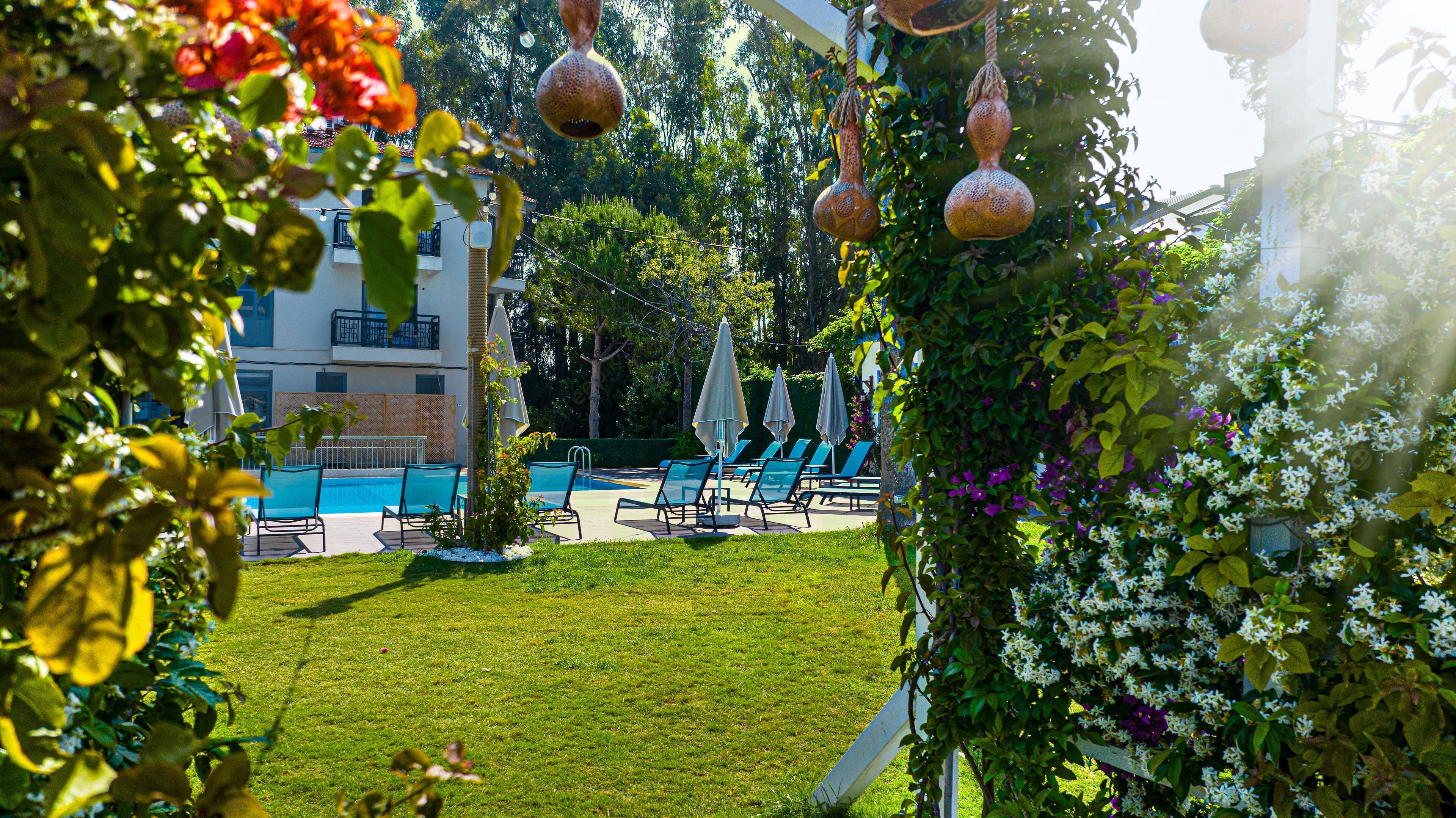Zona de piscina con sillas reclinables y sombrillas, rodeada de vegetación y un edificio al fondo.