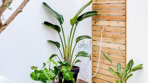 Um pequeno espaço ao ar livre cercado, com parede de ripas de madeira, plantas em vasos e um balde de metal pendurado na parede.