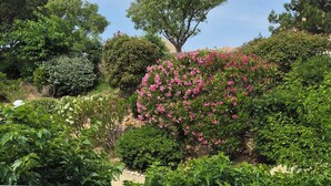 A balcony with a view of a landscaped garden, including various shrubs and a tree with pink flowers.