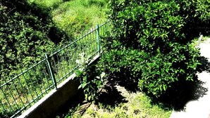 Garden - Flutura Apartments (Vlorë)