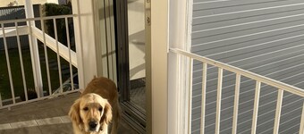 Chez Hélène, adapté PMR (disabled) les chiens bienvenus 4 pax, 3*gites de France
