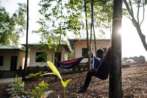 Property grounds - Viraz Valley (Kumta)