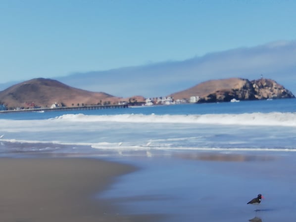 Praia