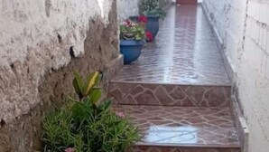 A narrow stone staircase with potted plants on the left, leading to a door at the top. - Casa Blue Hill Beach (Cerro Azul)