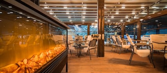 Hotel Moreni