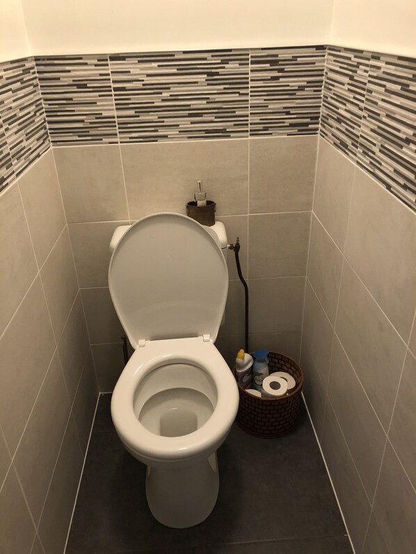 A bathroom with a toilet, a bidet, and a small basket containing toilet paper and a bottle. - Large terraced house, with garden, in quiet area (Dijon)