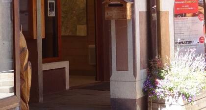 Ski in/ski out apartment, ideal for 4/5 people who like peace and nature