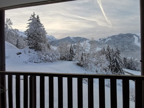 Appartement ski au pied, idéal pour 4/5 personnes aimant le calme et la nature