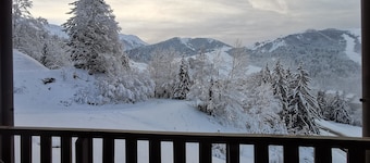 2-værelse ski-in ski-out ideel til 4/5 personer, der elsker fred og natur