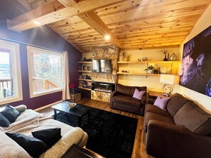 TV connectée, cheminée, lecteur de DVD, livres