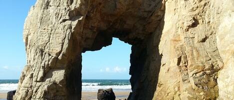Accommodatie ligt op het strand, ligstoelen