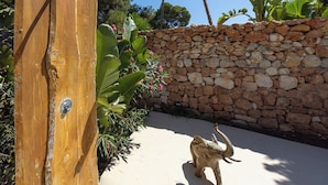 A stone wall with a wooden gate, a concrete floor, and a small animal statue. - Villa Clara Ibiza with pool (Santa Eulària des Riu)