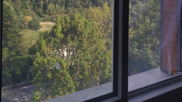A view from a window overlooking a forested hillside with a clear sky.