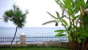 Une vue sur la côte, avec un mur de pierres, une clôture en métal bleue et une zone herbeuse agrémentée d’un arbre et de plants de bananiers.