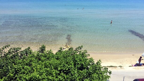 Une plage à l’eau claire, avec un rivage sablonneux et une végétation verdoyante au premier plan.