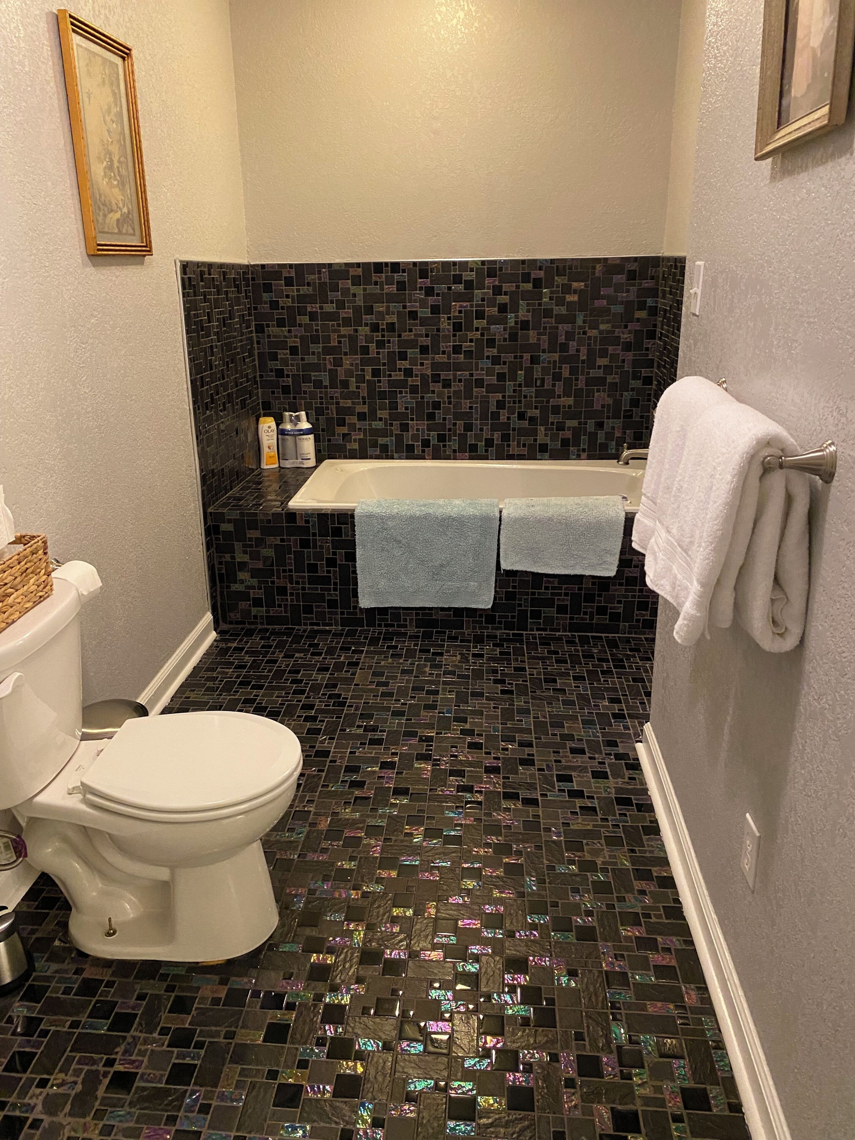 Combined shower/tub, jetted tub, hair dryer, towels